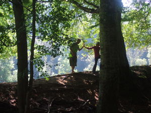 Una pareja bailando en la naturaleza bajo unos arboles. La mujer está tocando el troncoo de un arbol alto, la mujer y el hombre están tocandose con una mano. El sol brilla a través de las hojas de los arboles.
