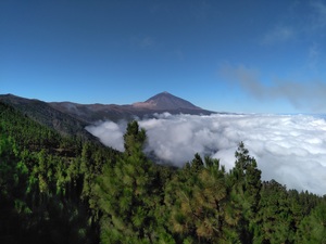 Vistas al Teide y al Pinar desde un mirador en el Norte de la Isla de Tenerife. El retiro en la naturaleza con Bárbara Stumpp y Chetan Erbe se realizaré acá.